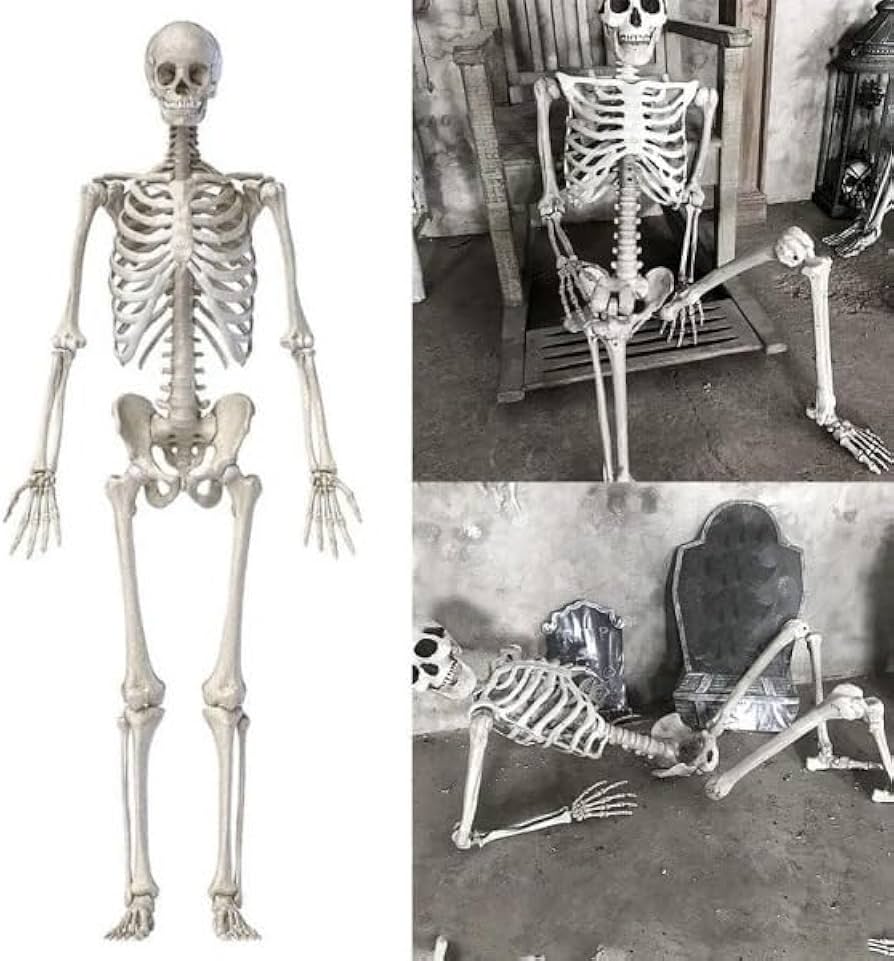 Amazon.co.jp: 等身大サイズ リアルな見た目 人体模型 骨格標本 約