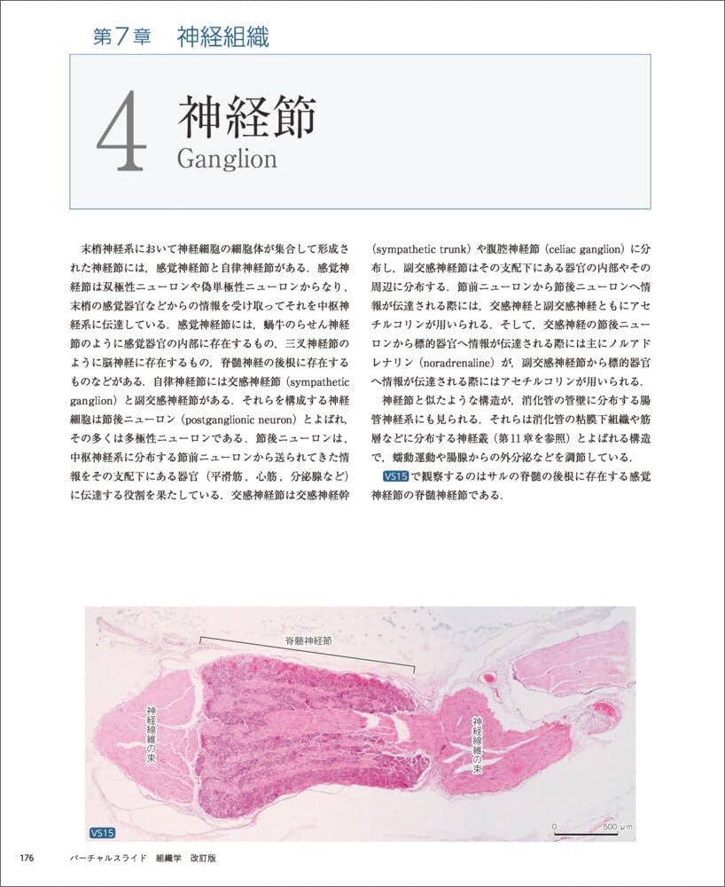 バーチャルスライド 組織学 改訂版 | 駒﨑 伸二 |本 | 通販 | Amazon
