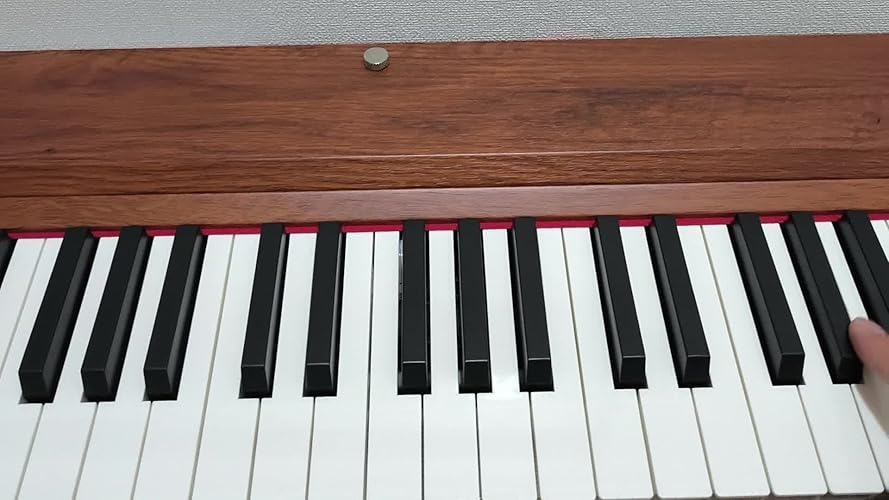 Amazon | TERENCE 電子ピアノ 88鍵 カウンターウェイト鍵盤 木製