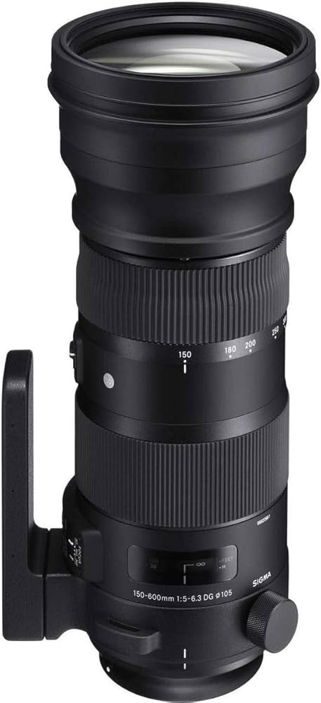 Amazon.co.jp: SIGMA 150-600mm F5-6.3 DG OS HSM | Sports S014