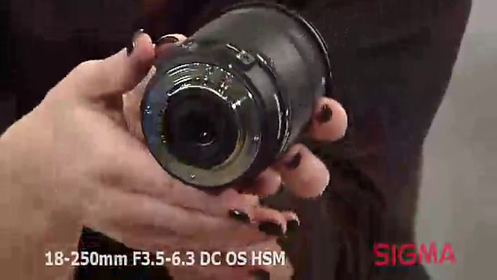 Amazon.com : Sigma 18-250mm f/3.5-6.3 DC OS HSM IF Lens for Sony