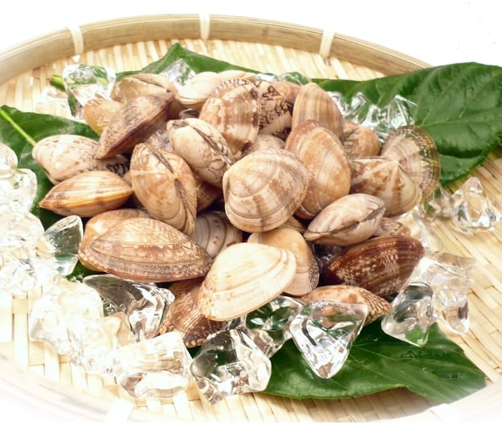 Amazon.co.jp: 殻付き あさり 1kg 冷凍 お吸い物や深川煮など様々な