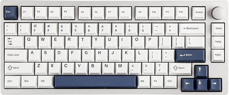 Amazon.com: EPOMAKER P75 Wireless Aluminum Mechanical Keyboard, BT