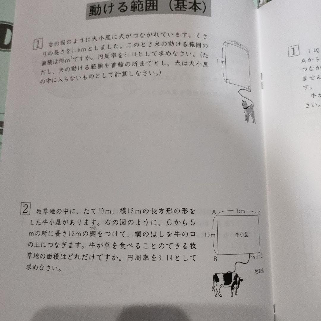Amazon.co.jp: SAPIX デイリーサピックス 小学6年 算数 全38冊