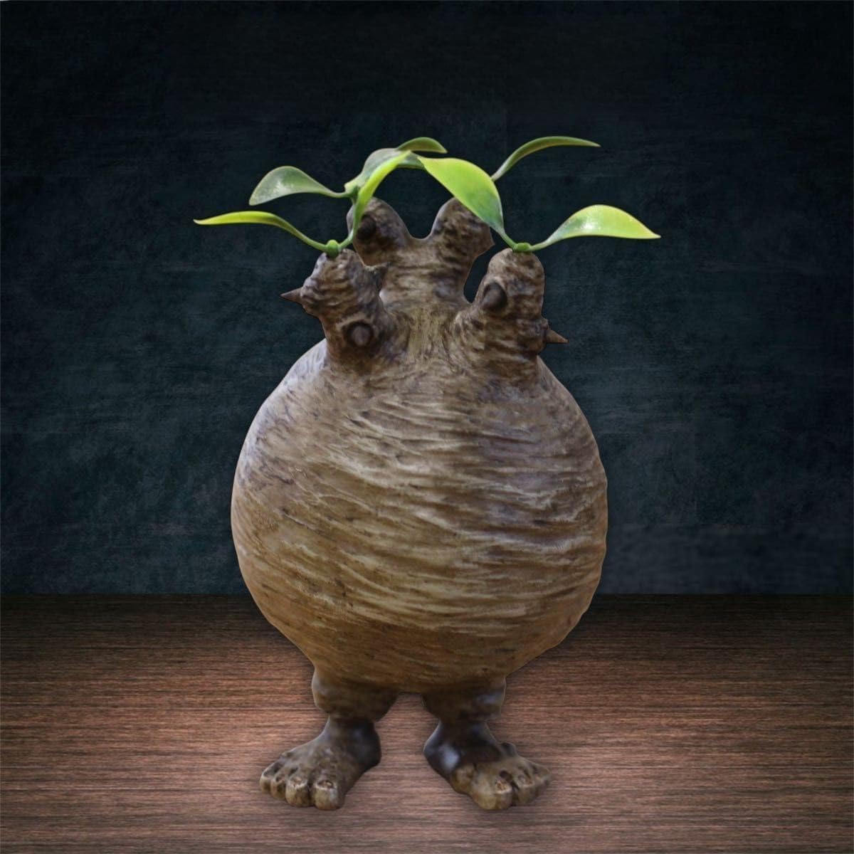 Amazon | パキポディウム グラキリス型フィギュア グラクリくん 塊根