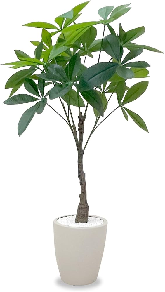 Amazon｜フェイクグリーン 光触媒 パキラ 90cm PAC-90N IV人工観葉植物