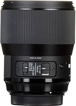 Amazon.com : Sigma 135mm F1.8 Art DG HSM for Sony E : Electronics