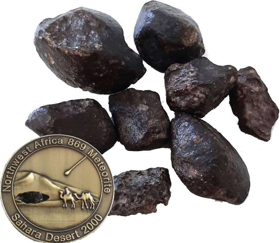 Amazon | SCIENCE 実物隕石標本「石質隕石 NWA869（North West Africa