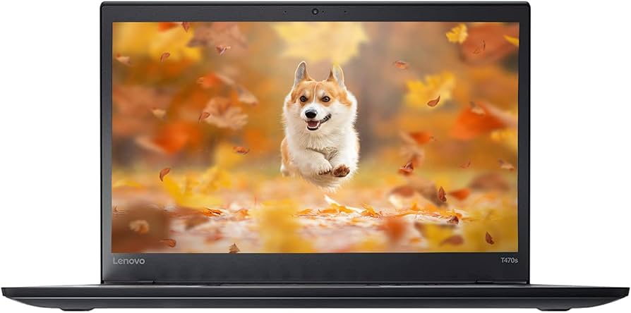 Amazon.com: Lenovo ThinkPad T470s Business Laptop, 14-inch HD