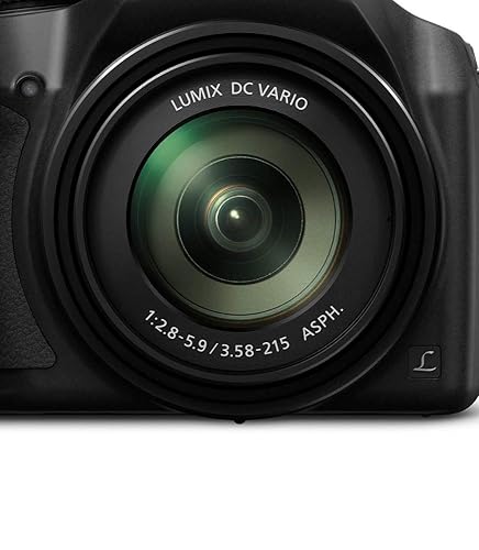 Amazon.com : Panasonic LUMIX 4K Digital Camera, 18.1 Megapixel