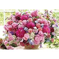 Amazon | 1000ピース ジグソーパズル 花色セラピー ときめきの