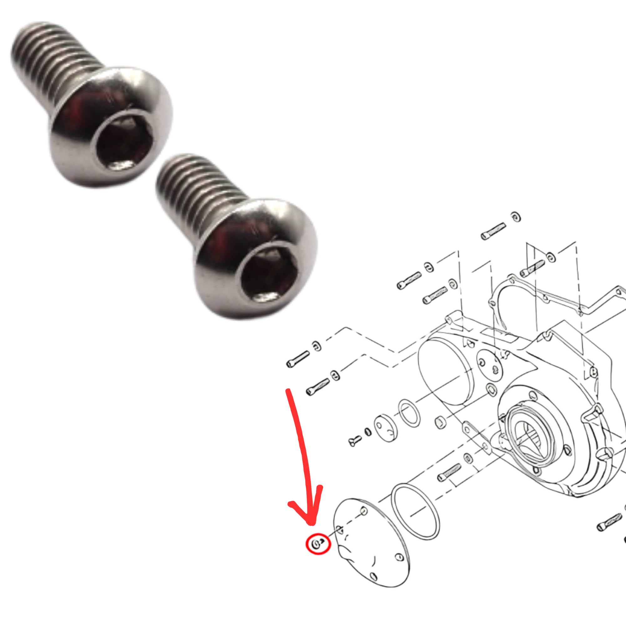 Amazon | 〔Sunday Skull Club〕 ハーレーダビッドソン互換