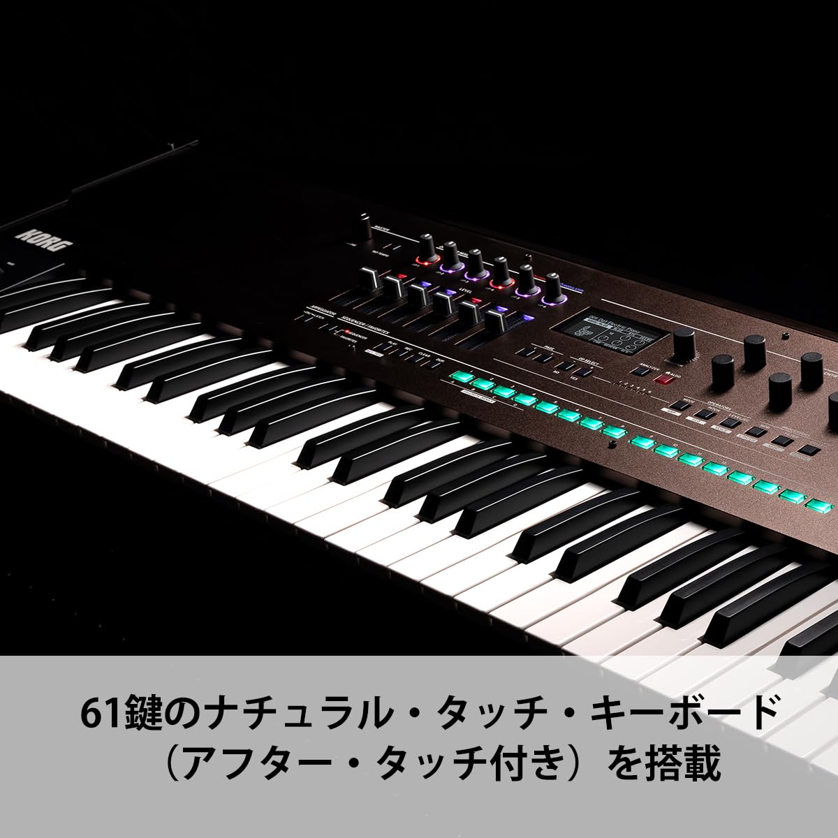 Amazon.co.jp: KORG コルグ FM シンセサイザー opsix SE オルタード FM