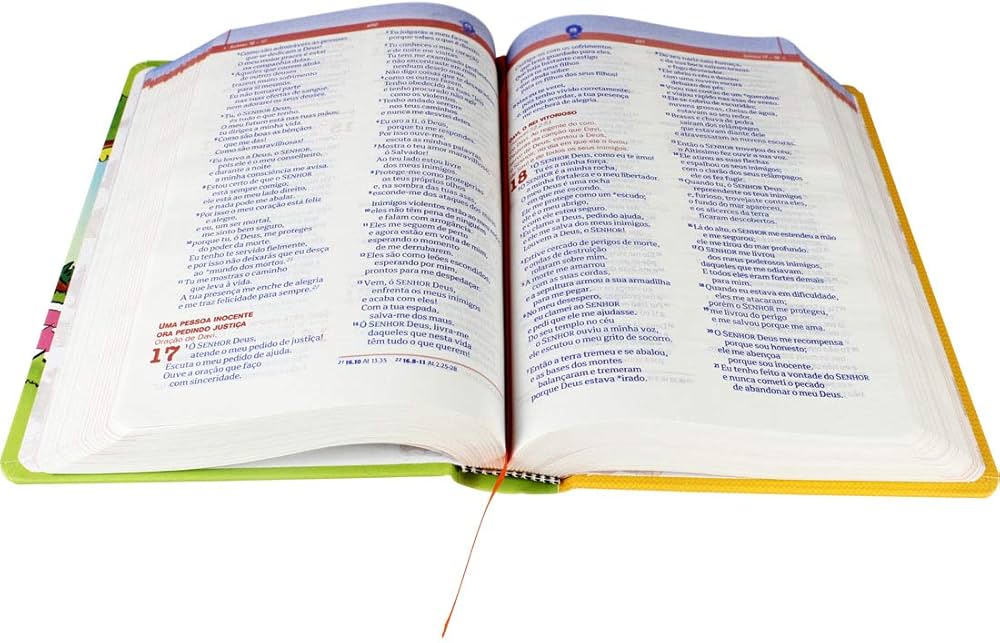 Bíblia Explicada para Crianças Mig & Meg NTLH | SBB | Bíblia