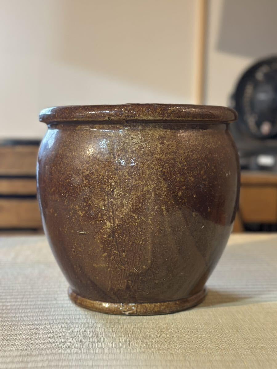 Amazon.co.jp: 壺 壷 ツボ 水瓶 陶器 大きめ 水鉢 メダカ 金魚鉢 睡蓮