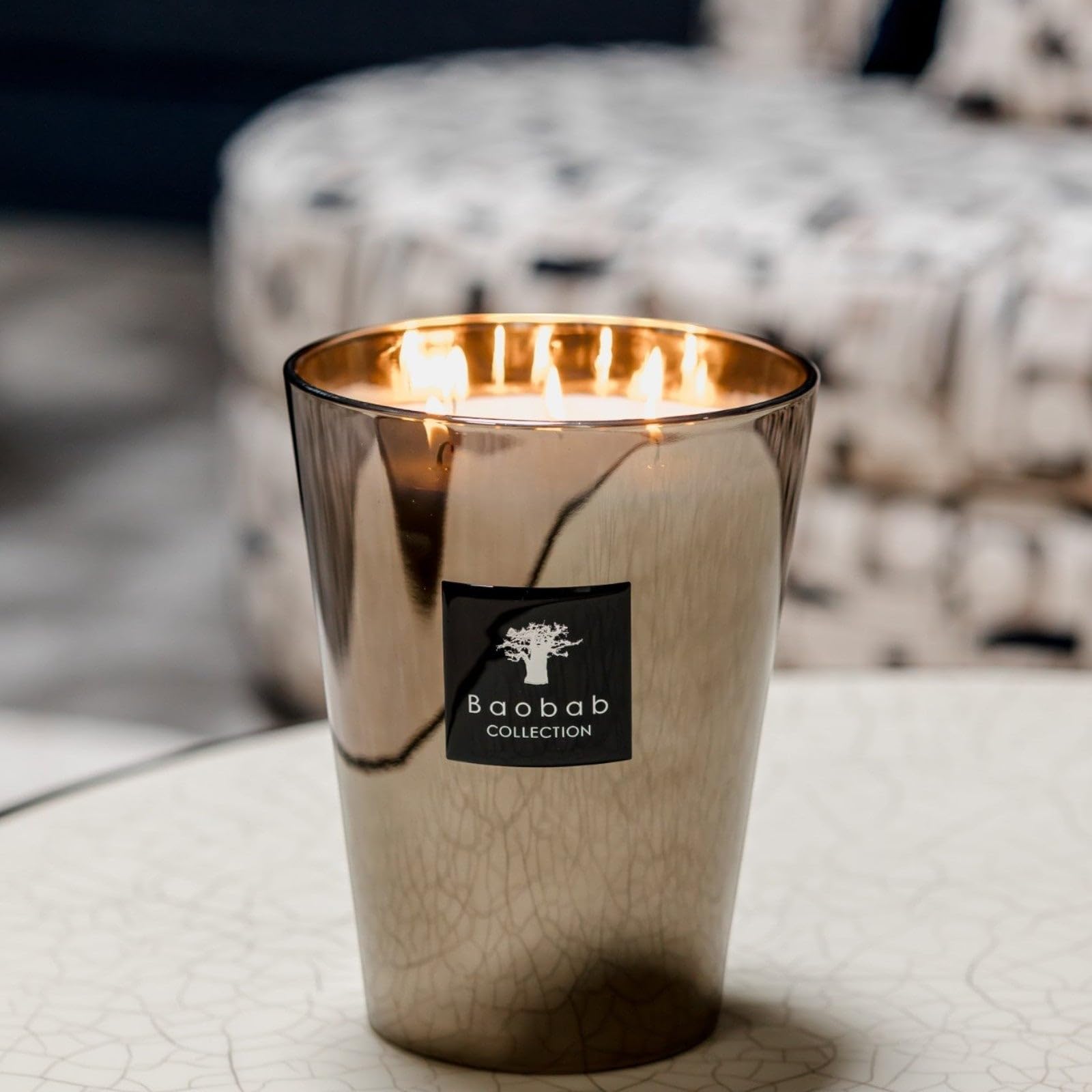 Amazon.com: Baobab MAX16PLA Platinum Candle, 16 x 10 x 16 cm Wax