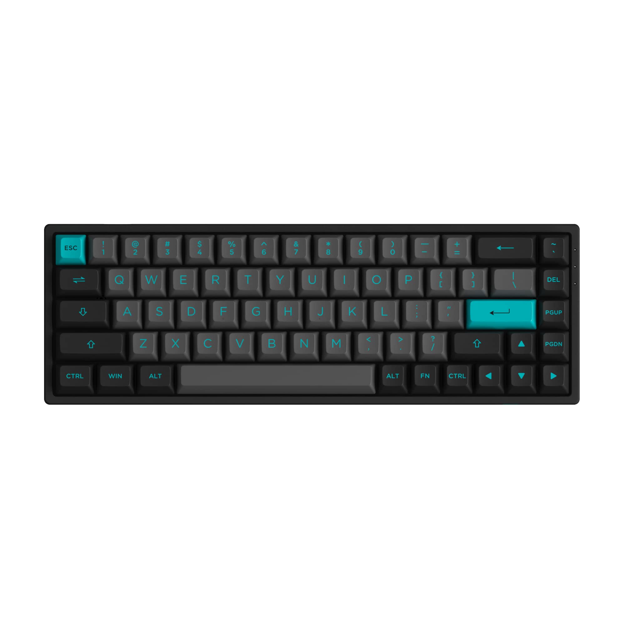 Amazon.com: EPOMAKER AKKO 3068B Plus Black Cyan 65% Hot-Swap 2.4