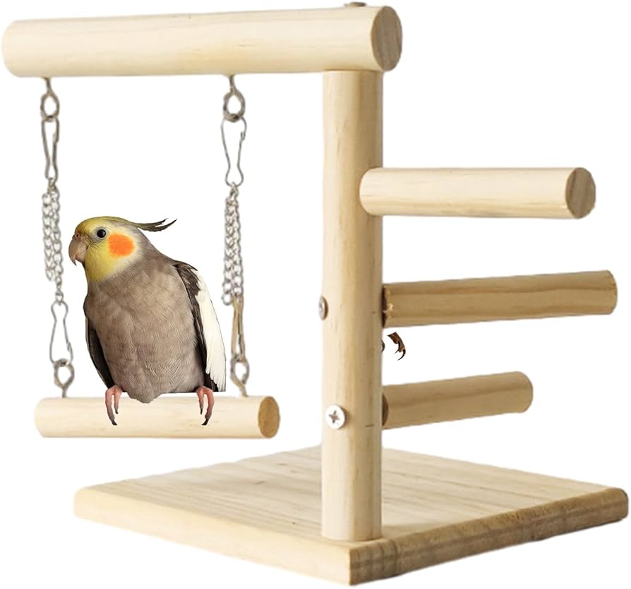Amazon.co.jp: 鳥とまり木スタンド | 木のオカメインコの遊び場