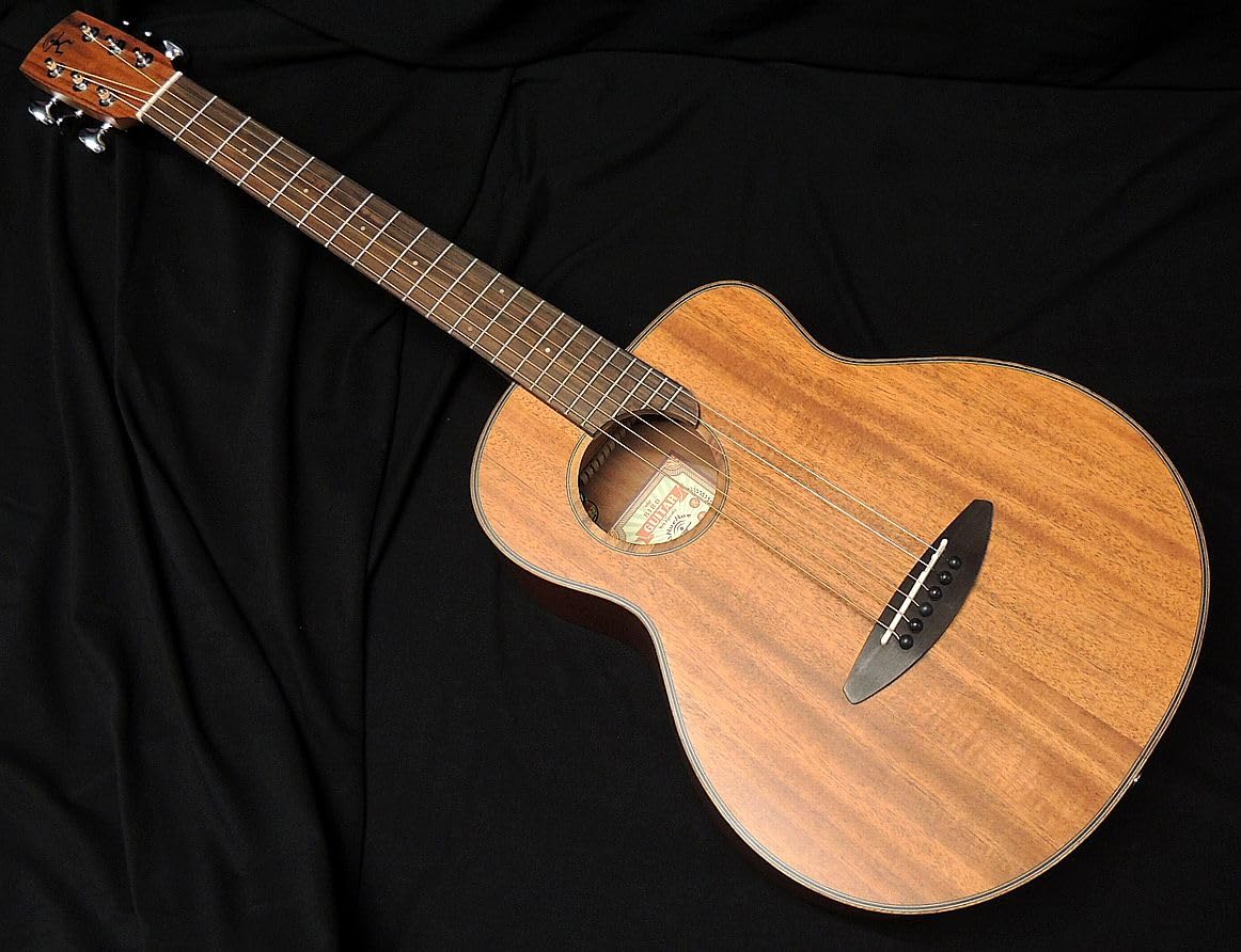 Amazon | aNueNue Bird Guitar aNN-M20E Solid Mahogany Top