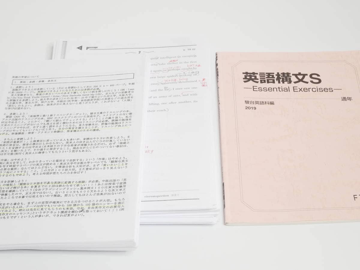 駿台の竹岡先生による語法文法研究Sプリントフルセット 英語 鉄緑会