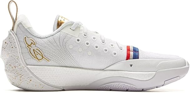 Amazon.com | LI-NING Wade All City 13 Series Men's Basketball