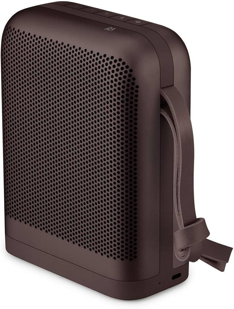 Amazon.com: Bang & Olufsen Beoplay P6 Portable Bluetooth Speaker