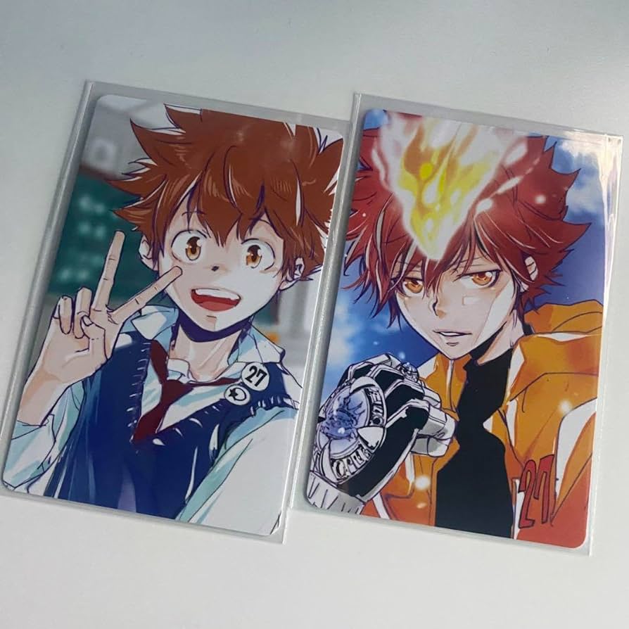 Amazon.co.jp: 沢田綱吉 超ツナ 自撮り風トレーディングカード 家庭