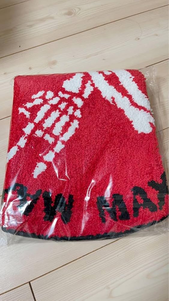 Amazon.co.jp: マキシマム ザ ホルモン MTH ふわっRUGMAT赤 : ホーム