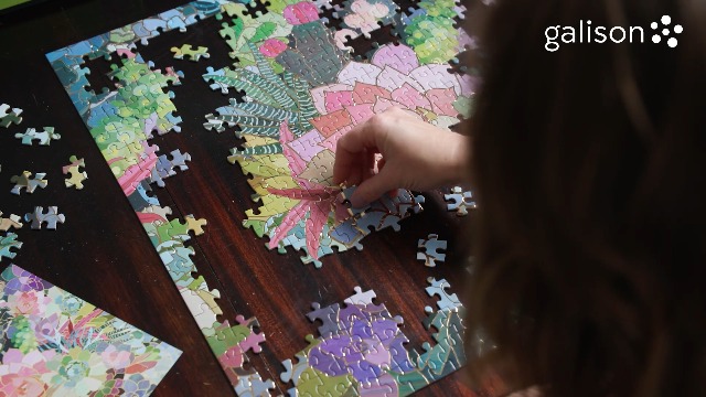 Amazon.com: Galison Needlepoint A to Z Panoramic Puzzle, 1000