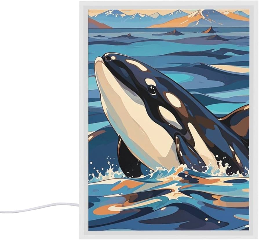 VFMNT Night Light Orca Killer Whale Print Nightlight for Adults