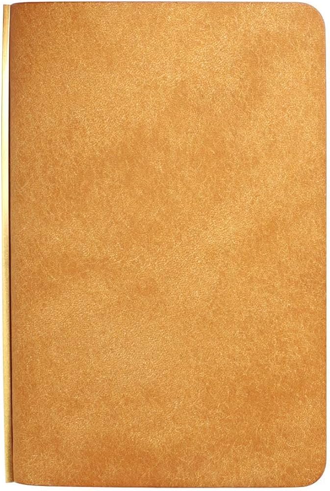 Amazon.co.jp: システム手帳 プロッター ミニ5サイズ プエブロ リング