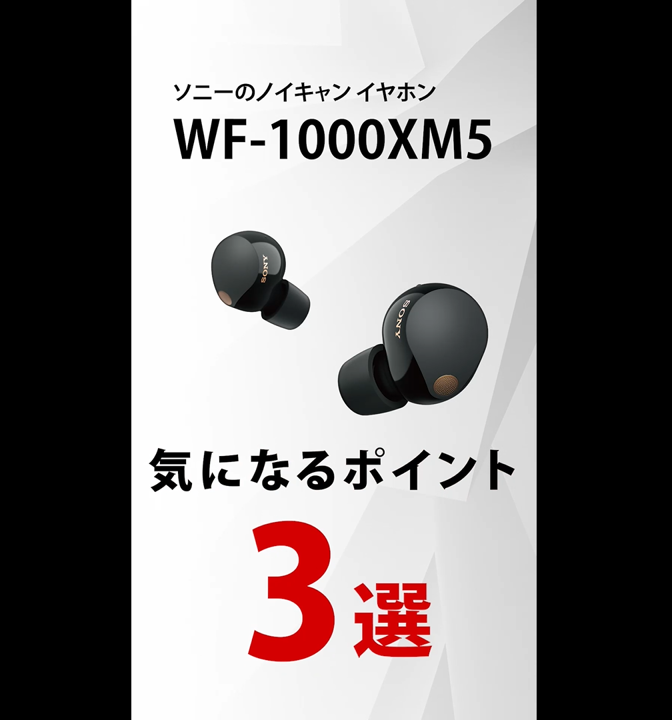 Amazon.co.jp: ソニー(SONY) ワイヤレスノイズキャンセリングイヤホン