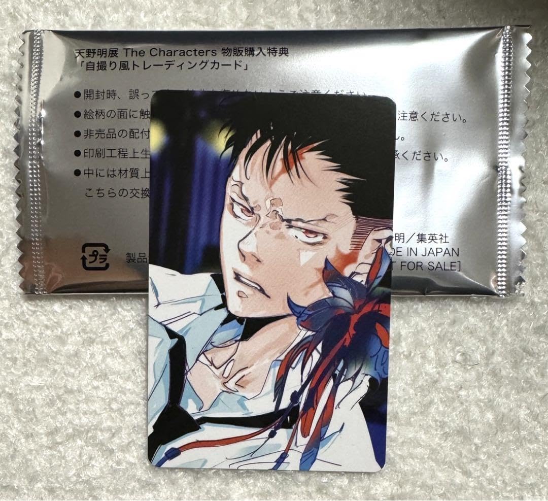 Amazon.co.jp: 天野明展 家庭教師ヒットマン REBORN XANXUS : ホビー