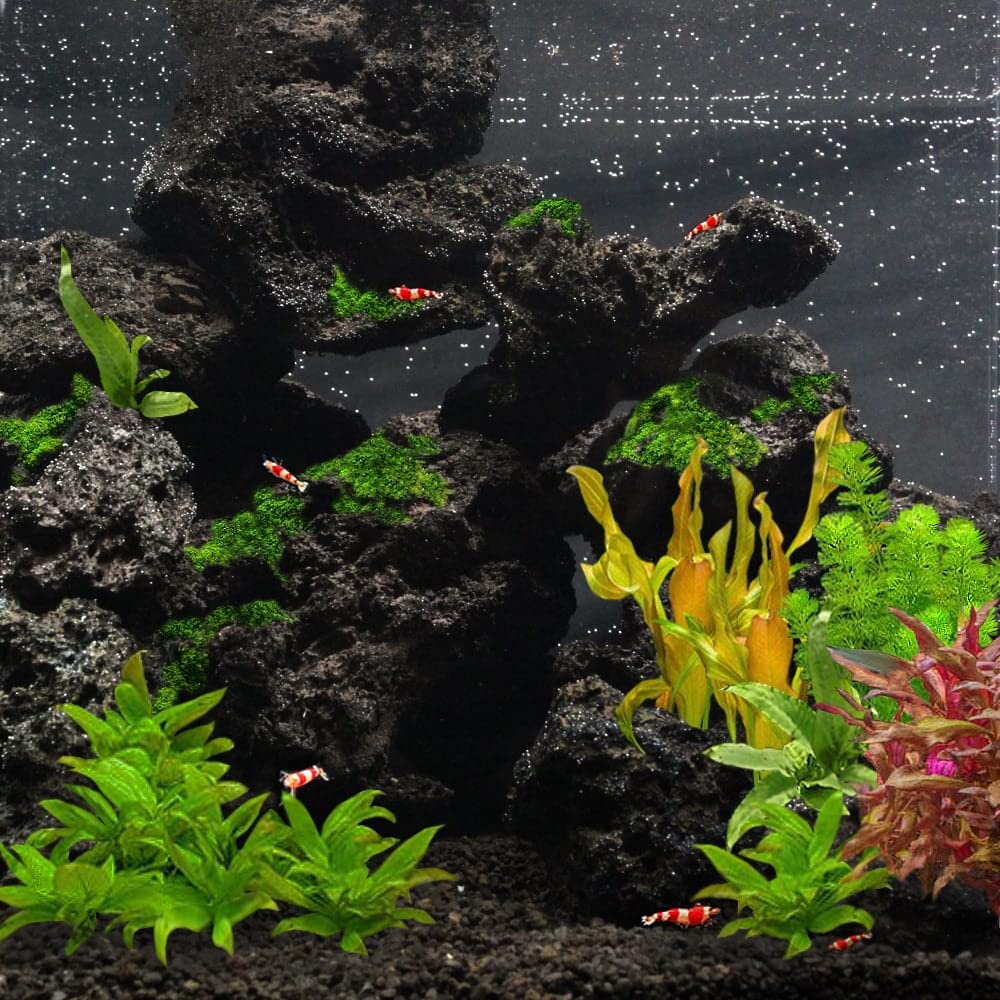 Amazon | 高濾過溶岩 国産中型溶岩石 M 8~20cm 8kg 赤系 90cm水槽