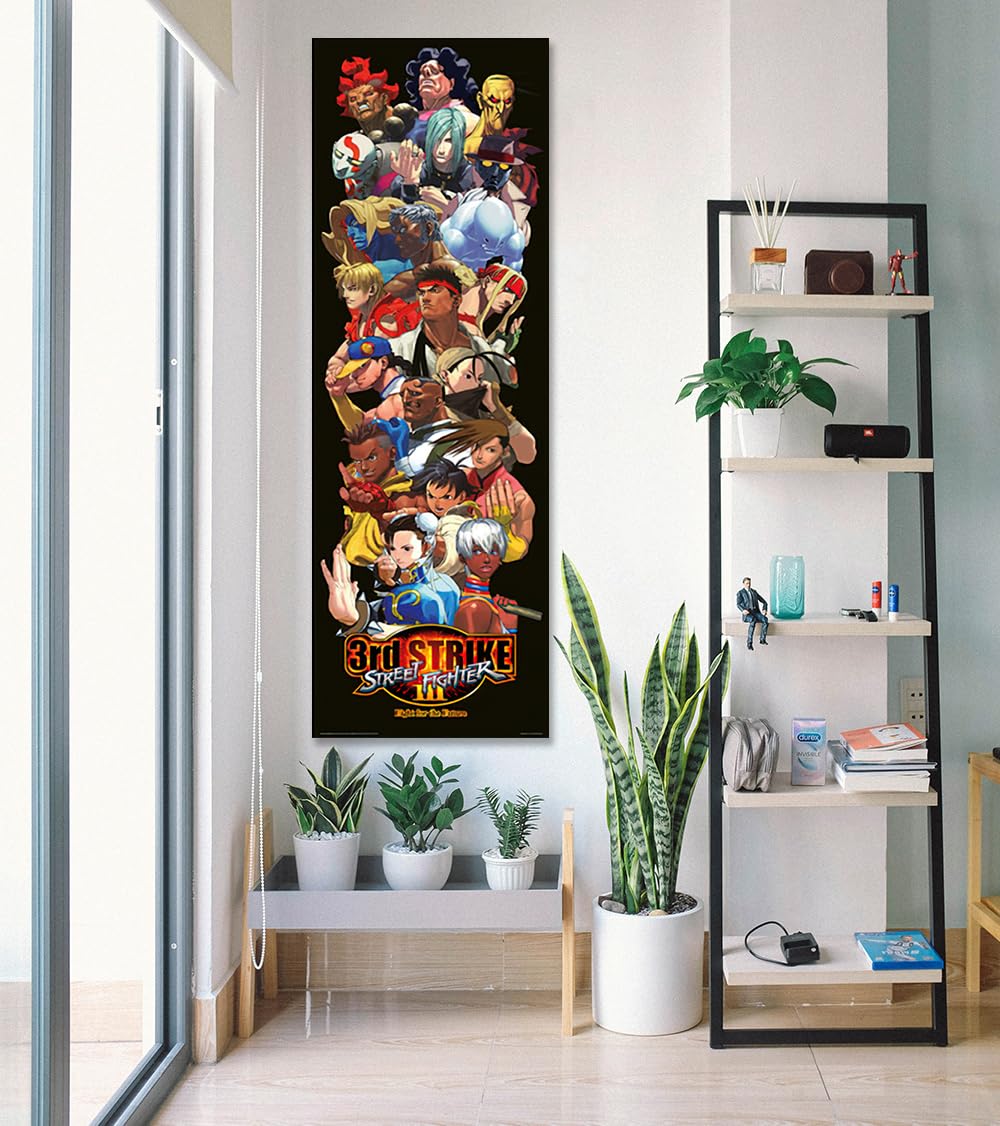 Amazon.co.jp: ストリートファイター3 - ゲームドアポスター (3rd