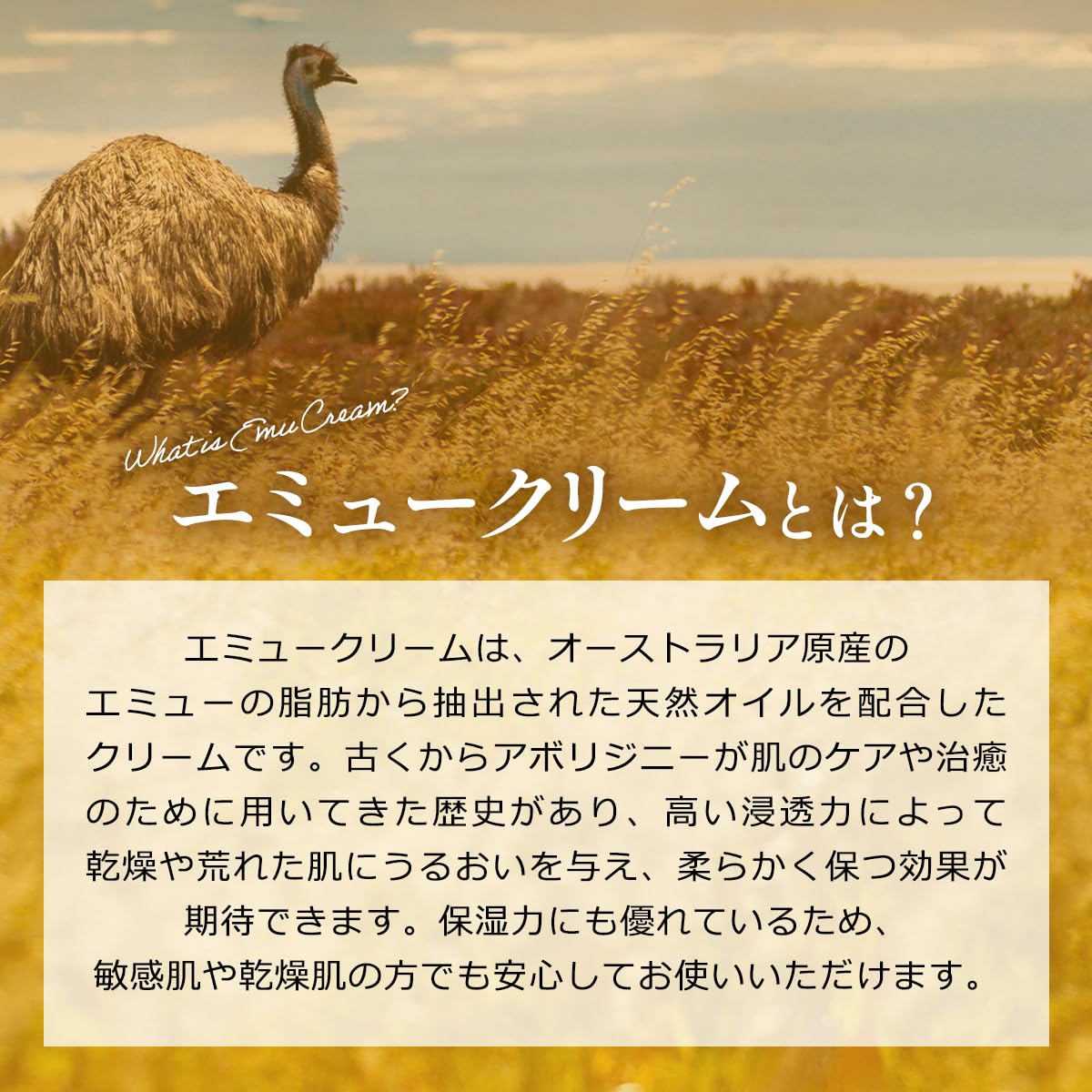 Amazon | エミュークリーム 40g エミューオイル配合 保湿クリーム