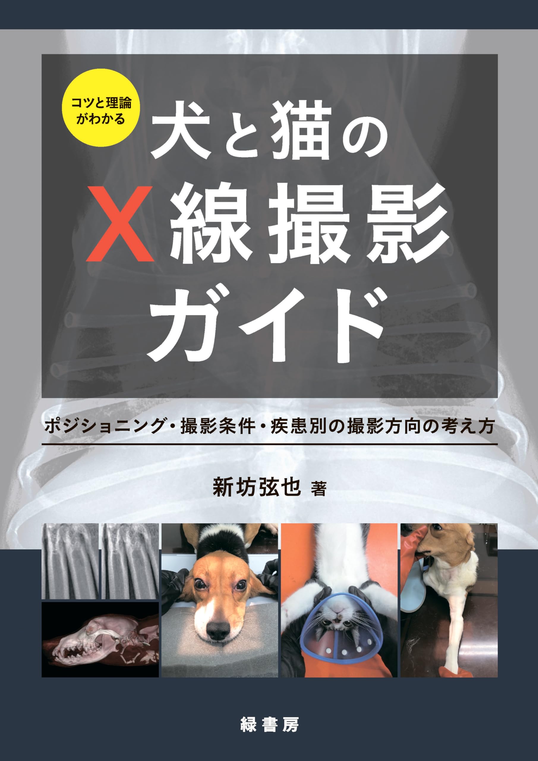 ○裁断済 これでわかる 犬と猫の 心電図の読み方 格安，高品質 【裁断