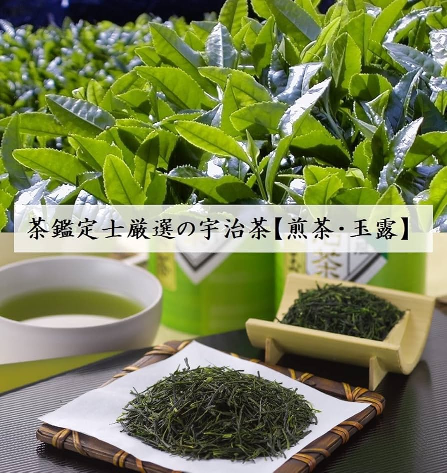 エルメス 100g（5g入り×20個）×10袋 健康長寿の川根茶 農家直売
