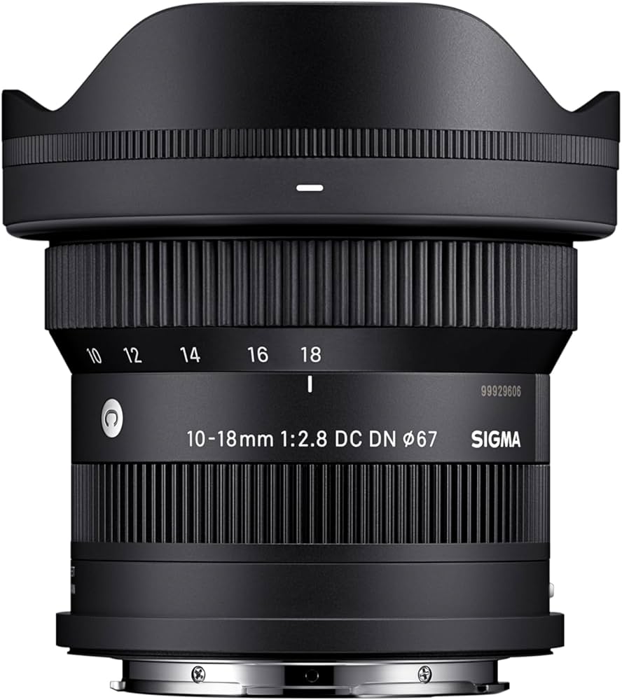 Amazon.com : Sigma 10-18mm F2.8 DC DN for L Mount : Electronics