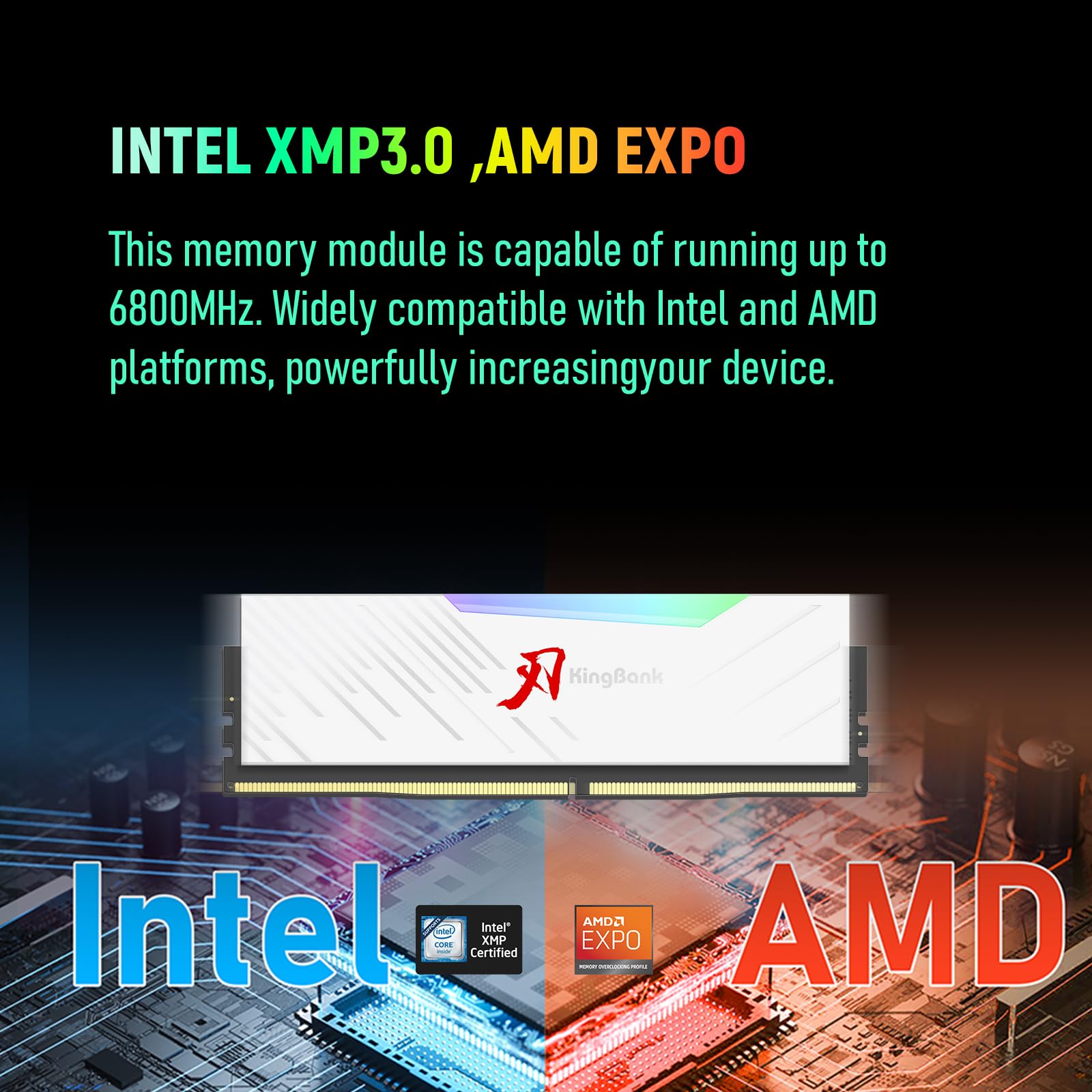 Amazon.co.jp: KingBank RGBコンピューターデスクトップメモリRAM DDR5