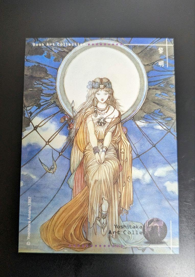 天野喜孝【まなざし】グイン・サーガ絵画（シバクローム、手彩）【作品