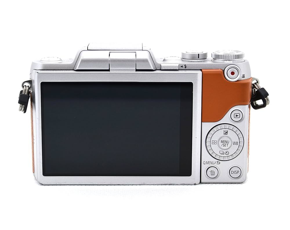 Panasonic LUMIX DMC-GF7 完動品 付属品多数 #340a Panasonic Lumix