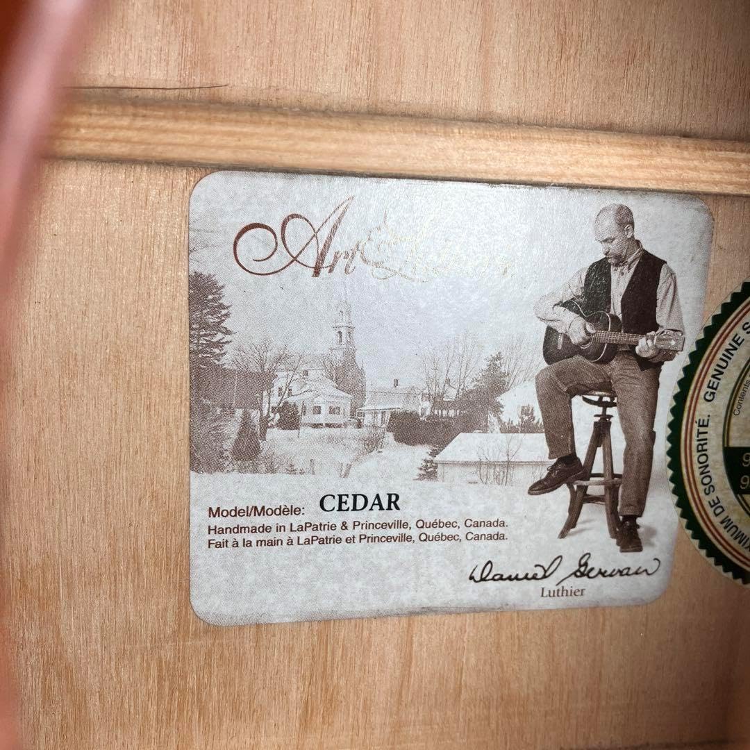 ケース付アートルシアー Dreadnought CEDARArt&Lutherie【ハードケース
