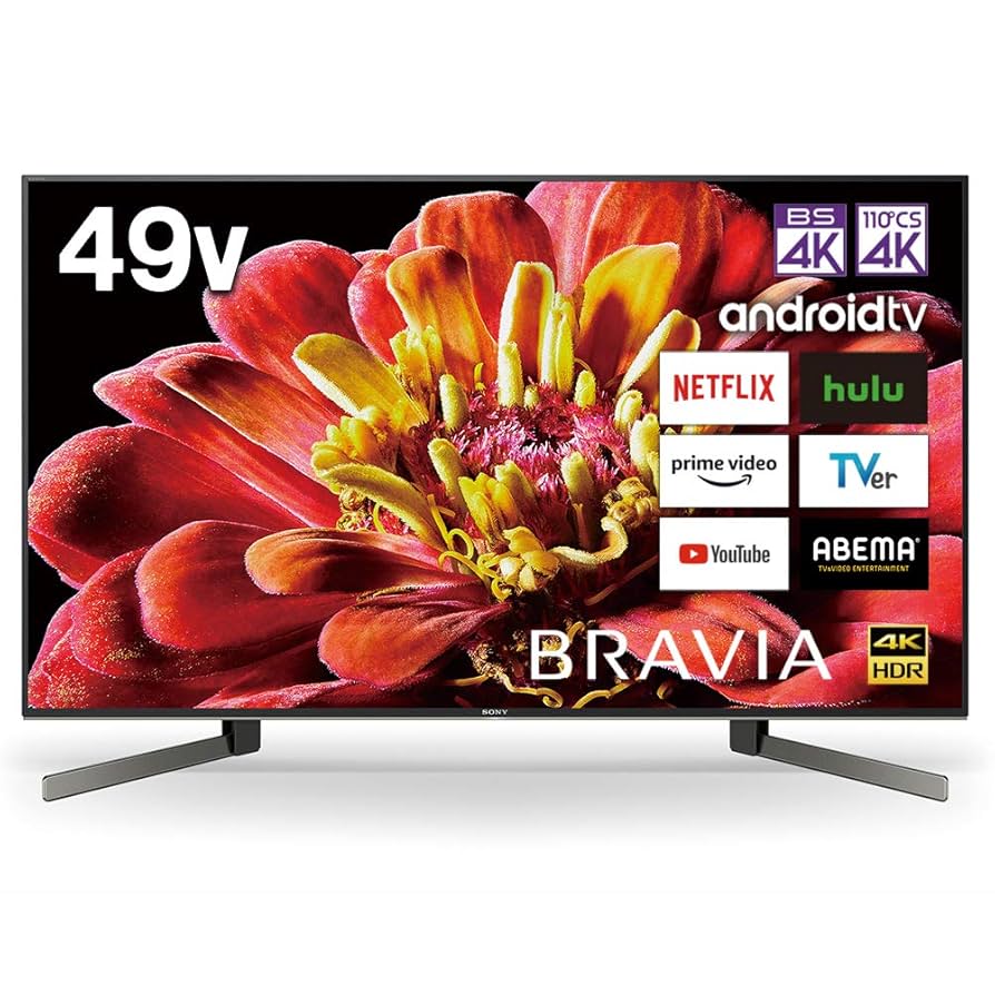 フナイ 49インチ 4K液晶テレビ FL-49U4110 フナイ FL-49U4110 [49