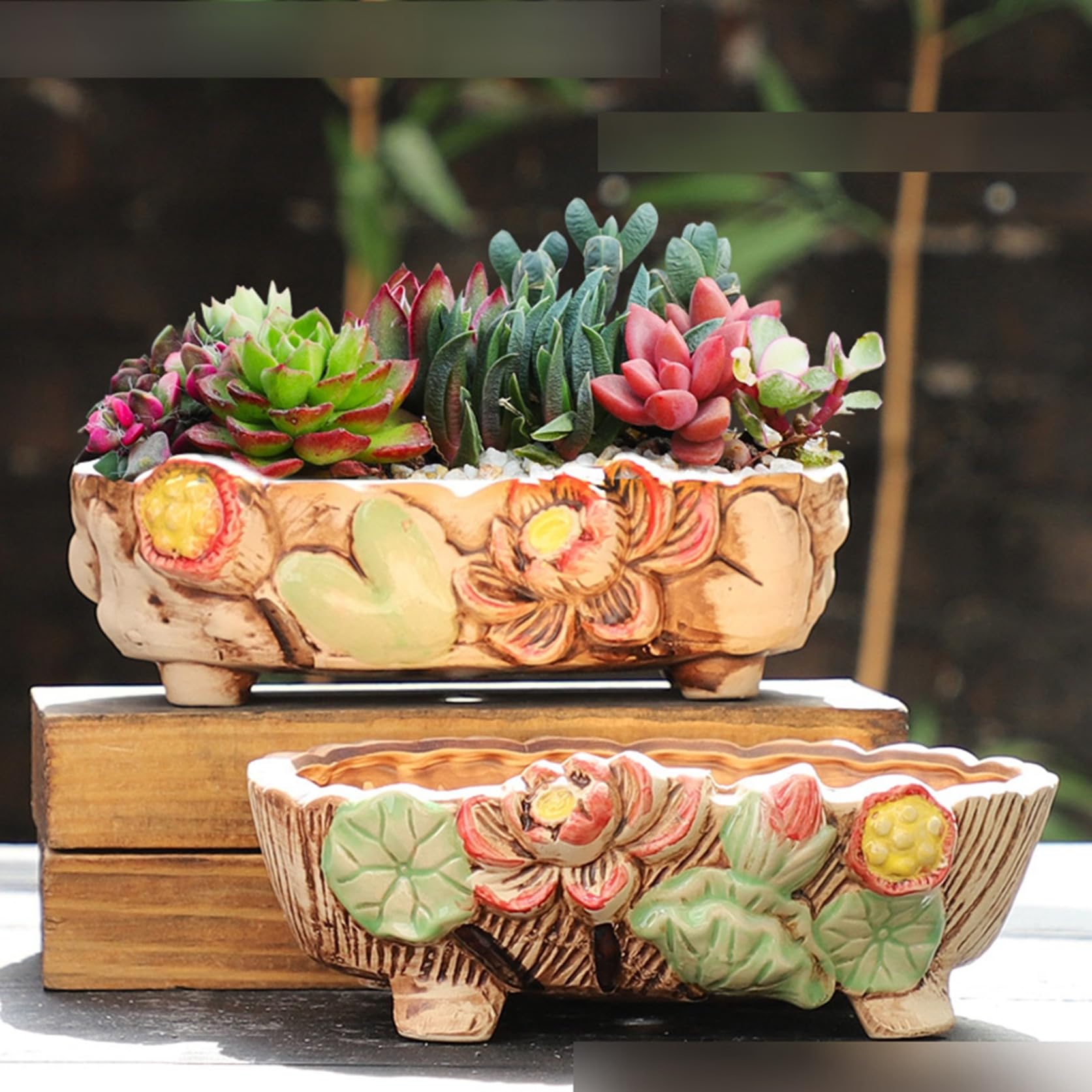 Amazon.co.jp: 陶器鉢 観葉植物 植木鉢 多肉植物鉢 盆栽鉢 サボテン鉢