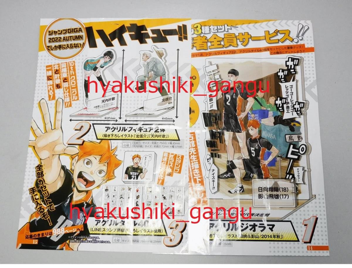 Amazon.co.jp: ハイキュー!! 応募者全員サービス ジャンプGIGA 2022