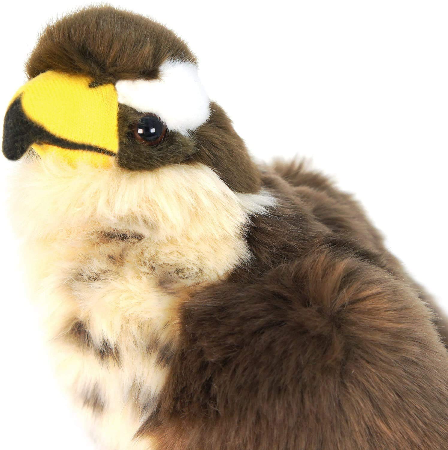 Amazon.co.jp: ハヤブサ 鳥 鷹 ぬいぐるみ リアル 23センチ ペット