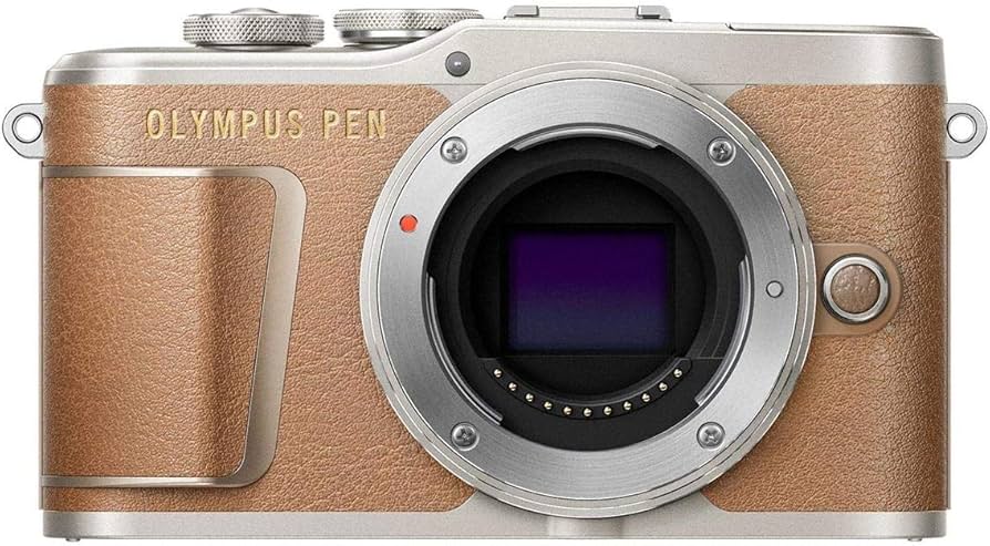 Amazon.com : OM SYSTEM OLYMPUS PEN E-PL9 Body only with 3-Inch LCD