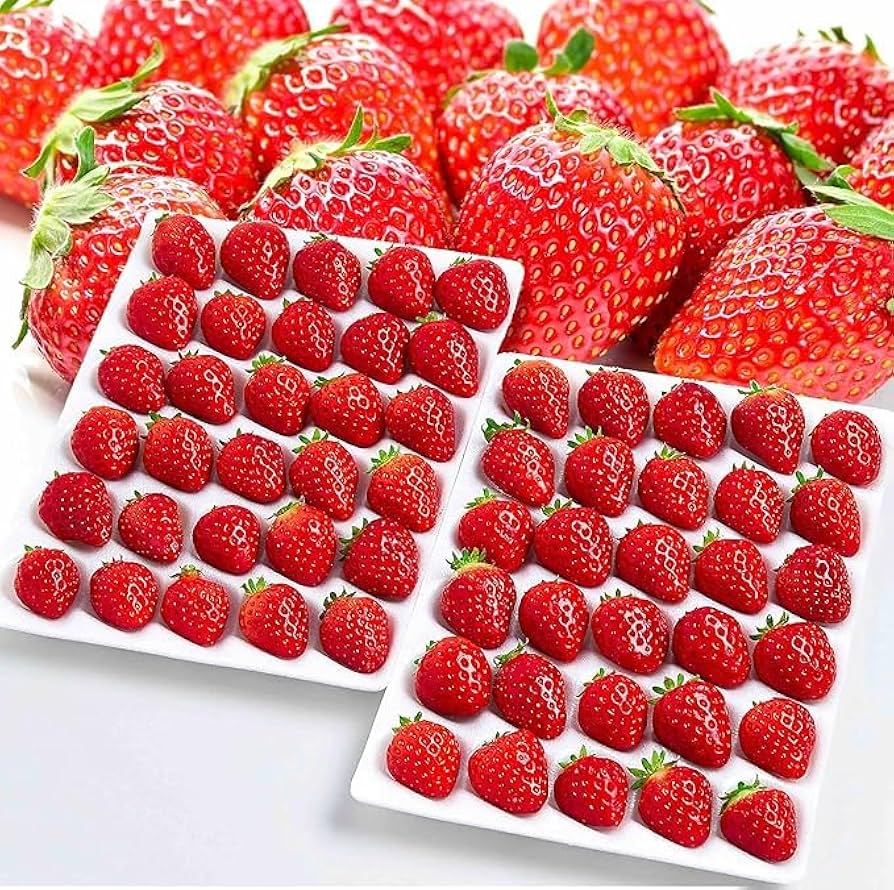 Amazon.co.jp: 【特選 糖度12度の別世界 いちご】常識を超えた甘さ