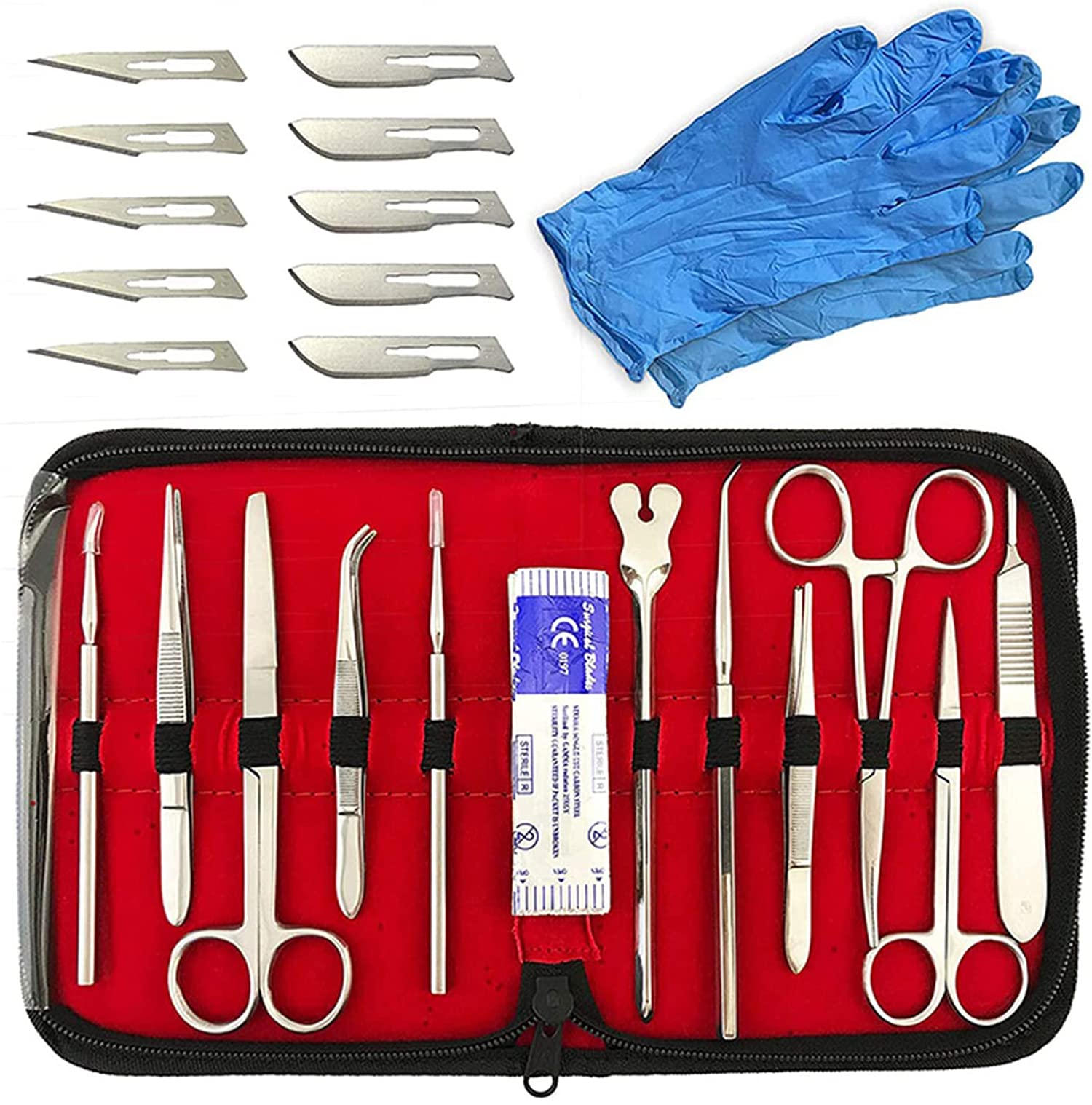 Amazon.co.jp: 22ピースの解剖学学生解剖キット、生物学実験室の解剖学